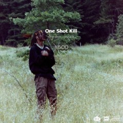 a girl is a gun . 2