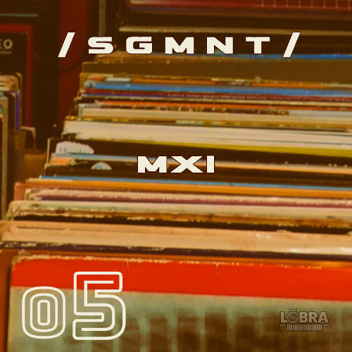 MXI_______ / S G M N T / 005