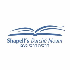 Rabbi Silverberg - Getting Rid of Chametz - Part 6