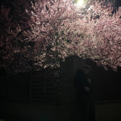 iftheskywaspink