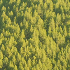 Looking Down From Above
