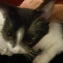 sex money and drugs + Kdn