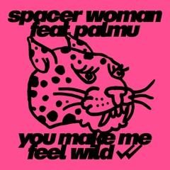 You Make Me Feel Wild ft. PALMU (Extended) (CHB014)