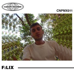 CNPMX011 - F:lix