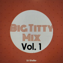 Big Titty Mix, Volume 1 - DJ Sheller