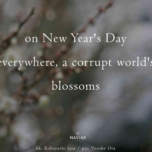 Blossoming Deception - naviarhaiku574