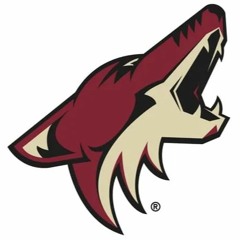 OPINION: What are the Coyotes doing?
