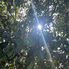 There's Light Again
