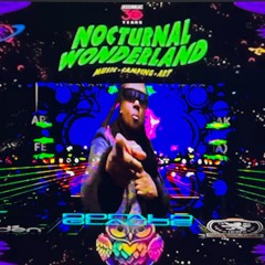 Donald Glaude What I Played At...("Nocturnal Wonderland") And More Mix
