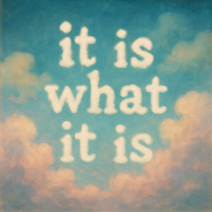 it is what it is
