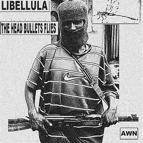 the head bullets flies libellula