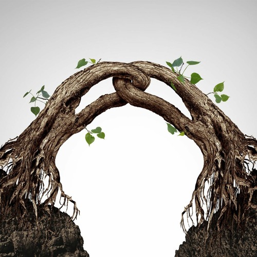 Understand Everything