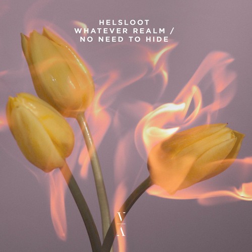 Helsloot & Quibus - No Need To Hide feat. Marcel Young