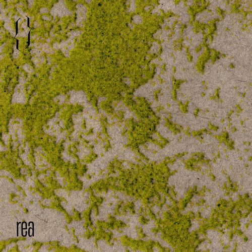formatape01_rea