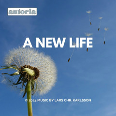 A New Life