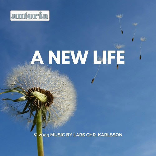 A New Life