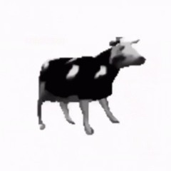 polish cow sped up