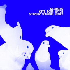 Stimming - Keys Don't Match (Vinzenz Schwarz Remix)