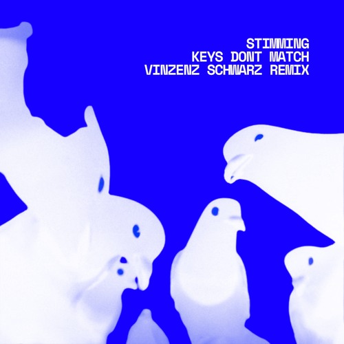 Stimming - Keys Don't Match (Vinzenz Schwarz Remix)