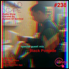 SOundScape #238 Guest: Black Pomade