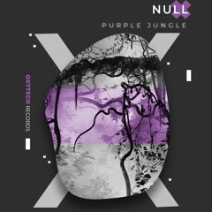 Null - High Potential (Original Mix)