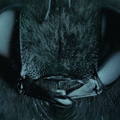 Darkprog / Darkpsy