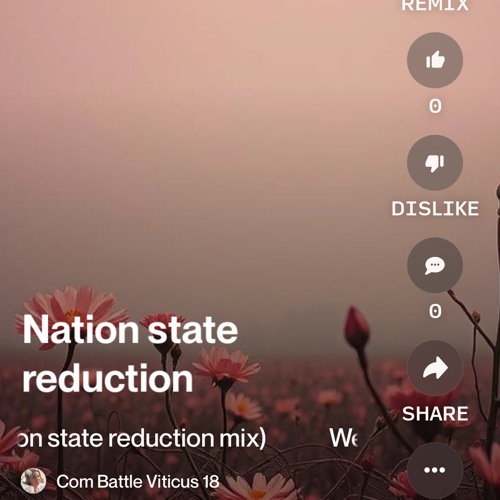 welcome-your-3rd-world-(nation-state-reduction-mix).mp3