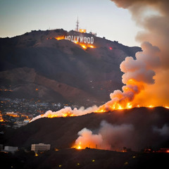HOLLYWOOD
