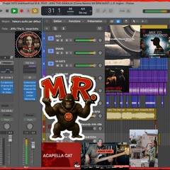 Projet 1515 UnkNowProd M.R. FEAT. JERU THE DAMAJA (Come Remix) 88 BPM MAST. L.P.