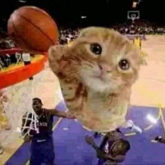 ballin baby prod. SUBZEROSWIZ (demo)