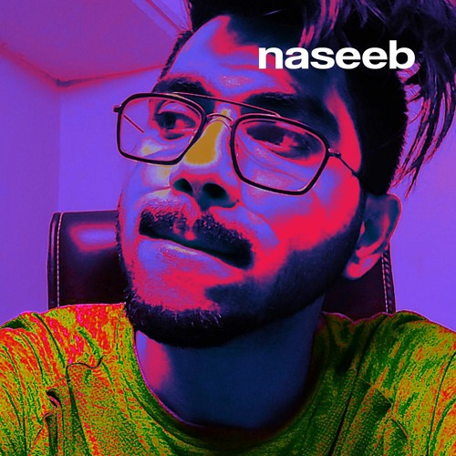 NASEEB