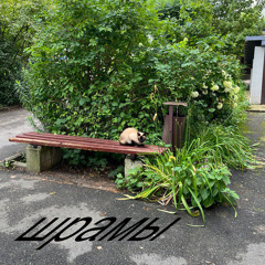 violetta sokolova - шрамы