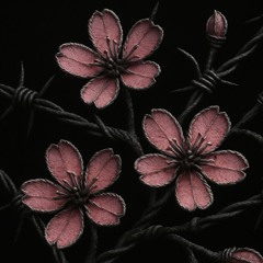CHERRY BLOSSOMS (COLOUR RIDDIM)