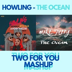 Howling Vs The Ocean (TWO FOR YOU Mashup) FREE DOWNLOAD!