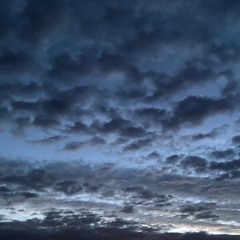 Curves, And the Nerve (Fall 2023)