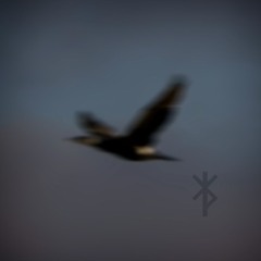 Sickness In Our Soul