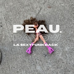 LA SEXY FUNKBACK