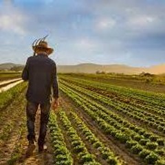 FARMER (ORIGINAL MIX)