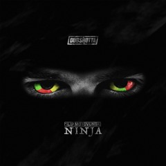Filip Motovunski - Ninja [Dub Shotta]
