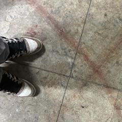 SHEVA SHAVAH (FORTY THREE)