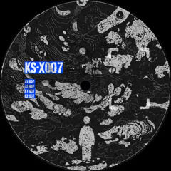 KS-X007B1 FEVER