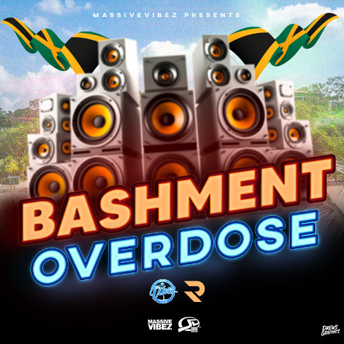 BASHMENT OVADOSE (MIXED BY DJ VIBEZ E.N.T & DJ RICKEY)