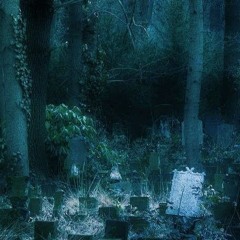 Alaska w/.skyscrapers [prod.Vinnie montana]