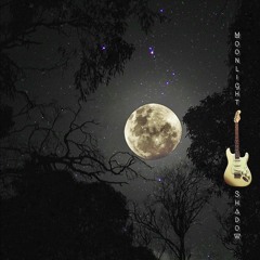 Moonlight Shadow (Mike Oldfield Tribute)
