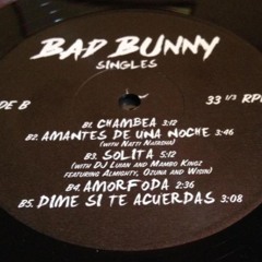bad bunny house mix