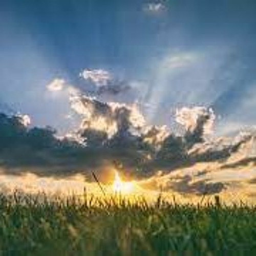 POV: U don't know why u like these songs