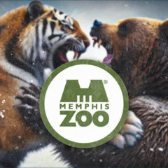Memphis Zoo - Dallis, Lil Josh, Braylon, Ashton, Joseph, Rico