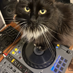 MinimixX