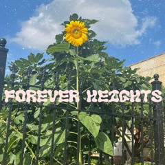 Paris P - Forever Heights