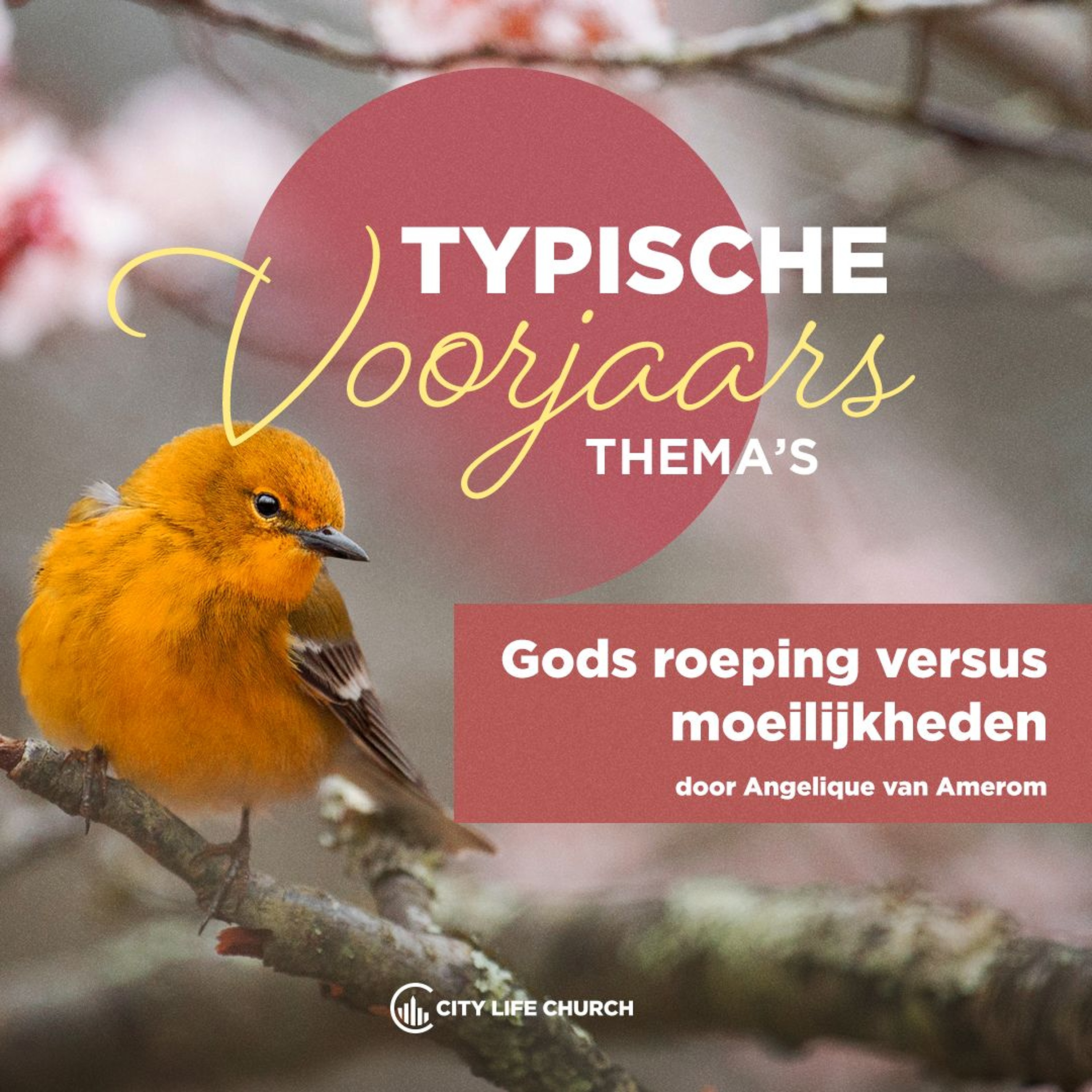 Angelique Van Amerom | Gods Roeping Versus Moeilijkheden | 26-05-2024 episode artwork